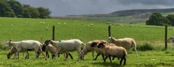 Hoteles en Bosque de Bowland