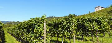 Hôtels dans cette région : Région vinicole de Valpolicella