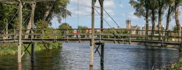 Hoteles en Tholen