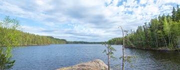 Cabins in South Karelia