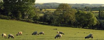 Hotels in Northamptonshire