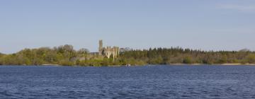 Hotels in Roscommon County