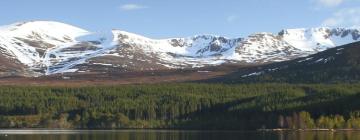 Cabins in Cairngorms