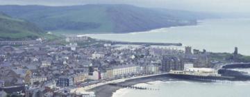 Pet-Friendly Hotels in Ceredigion