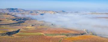 Country Houses in Rioja Alavesa