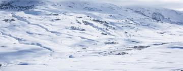 Cabins in Baqueira - Beret Region