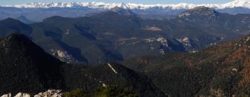 Cabins in Girona Pyrenees