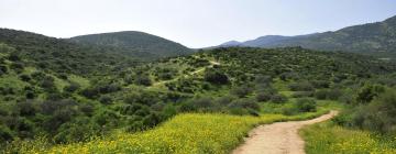 Lodges in Upper Galilee