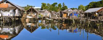 Hôtels dans cette région : Puerto Princesa