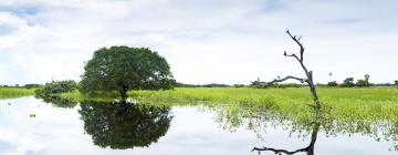 Hoteluri în Mato Grosso