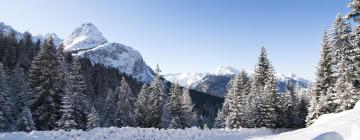 Ferienwohnungen in der Region Zugspitz Arena