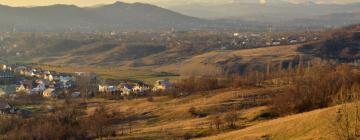 Hotel di Doftana Valley