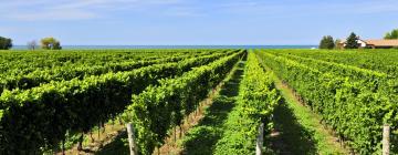 Maisons d'Hôtes dans cette région : Chutes du Niagara et pays des vignobles