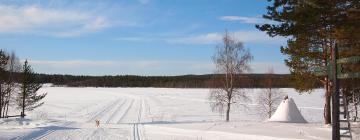 Cabins in Ylas