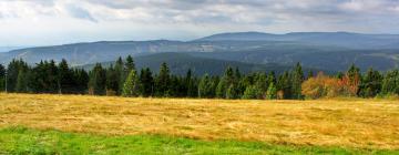 Guest Houses in Krusne Hory Czech