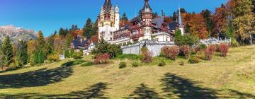 Mga Hotel na may Pool sa Sinaia-Azuga-Busteni