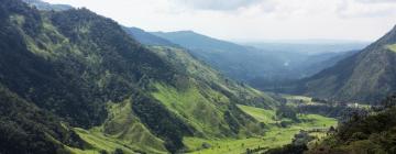 Cottages in Quindio