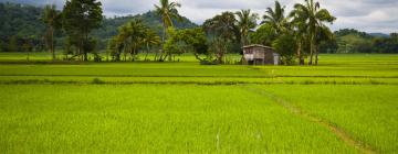 Hôtels dans cette région : Mindoro