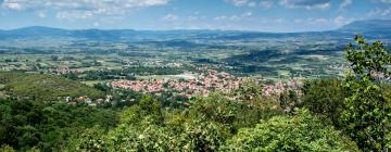 Homestays in Sokobanja Spa