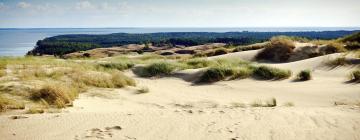 Holiday Homes in Curonian Spit