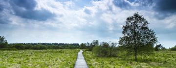 Hôtels dans cette région : Les Hautes Fagnes