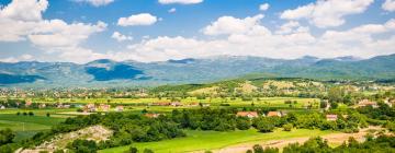 Cottages in Niksic County