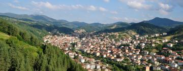 Hoteles en Smolyan Province 