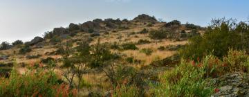 Cottages dans cette région : Al Baha Province