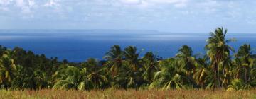 Hotels on Marie Galante