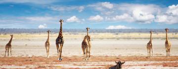 Hoteller i Etosha National Park