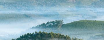 Hotels in Munnar and Surroundings