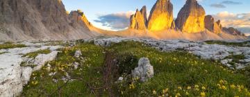 Departamentos en Nature park Tre Cime - Drei Zinnen