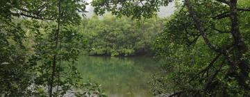 Lodges in Daintree Rainforest