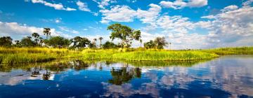 Lodges in Okavango Delta