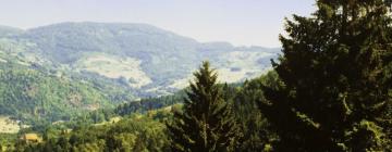 Chalets de montaña en Vosgos