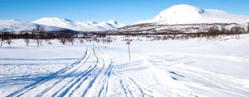 Cottages in Åre