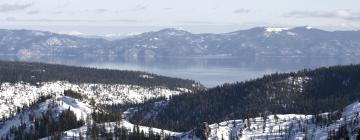 Hôtels acceptant les animaux domestiques dans cette région : Squaw Valley