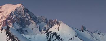 Ferienwohnungen in der Region La Plagne