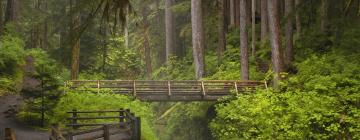 מלונות בOlympic National Park