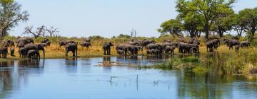 Campsites in Caprivi Strip