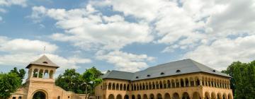 Guest Houses in Ilfov