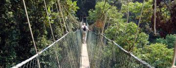 Hotelek Taman Negara területén