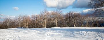 Hôtels dans cette région : Vasilitsa Ski