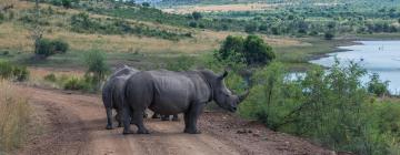 Lodge di Pilanesberg National Park