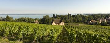 Hoteles en Lago de Neuchâtel