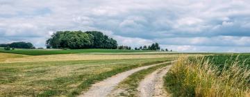 Hôtels dans cette région : Groene Gordel