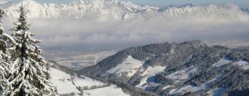 Ferienwohnungen in der Region Wildschönau