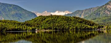 Dachstein West daireleri