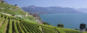 Apartemen di Lavaux