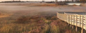 Hotel di Outer Banks